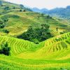 Tour Hà Giang 5 ngày 4 đêm