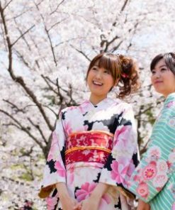 Tour du lịch Nhật Bản mùa hoa anh đào